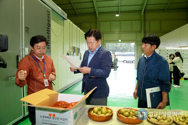 오영훈 지사가 수경재배 씨감자 생산현장을 둘러보고 있다.(사진=제주시)