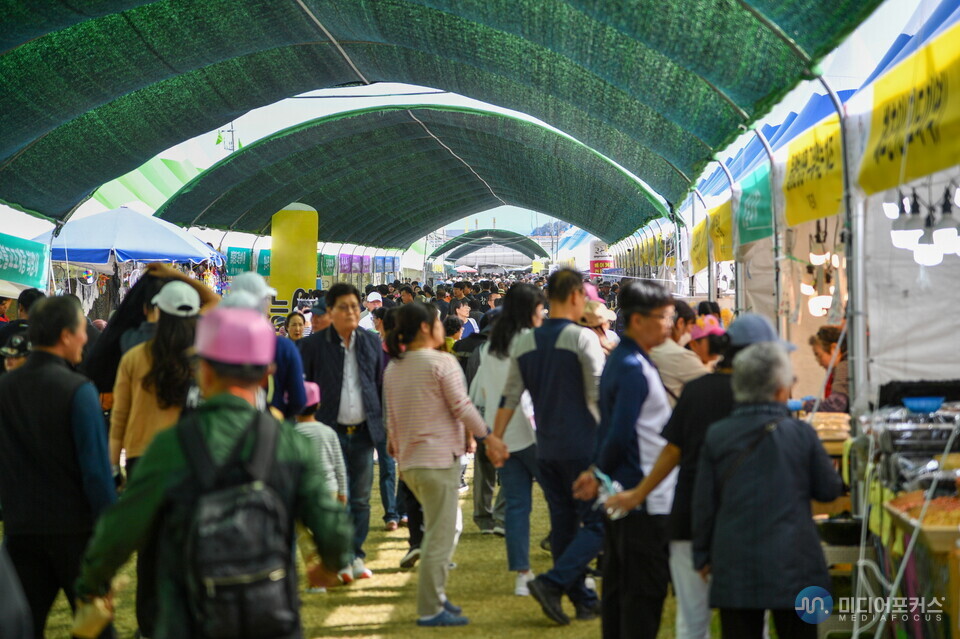 영주 풍기인삼축제장 방문객들(영주시)