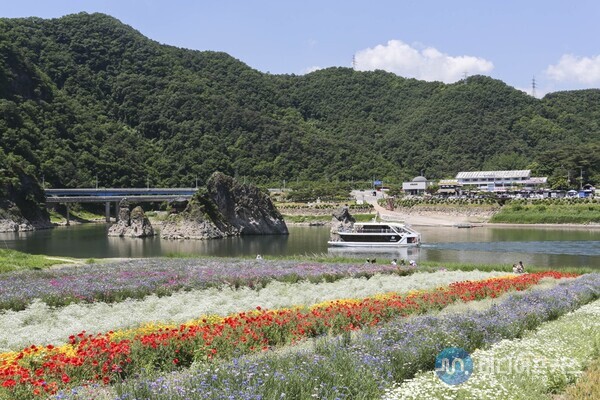 도담정원에서 바라본 도담삼봉(단양군)